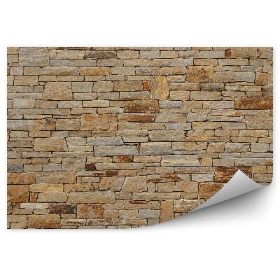 Fototapeta na zeď Různobarevné cihlové zdivo