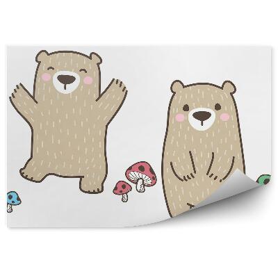 Fototapeta Hnědý šťastný medvídek houby bílé pozadí