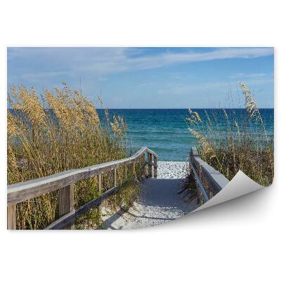 Samolepící fototapeta Přímořská promenáda s dunami a klasy unioly