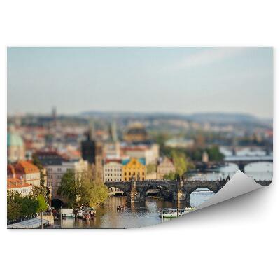 Fototapeta na zeď Panorama města Vltava most Praha trajekty lodě