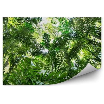 Samolepící fototapeta Listy džungle