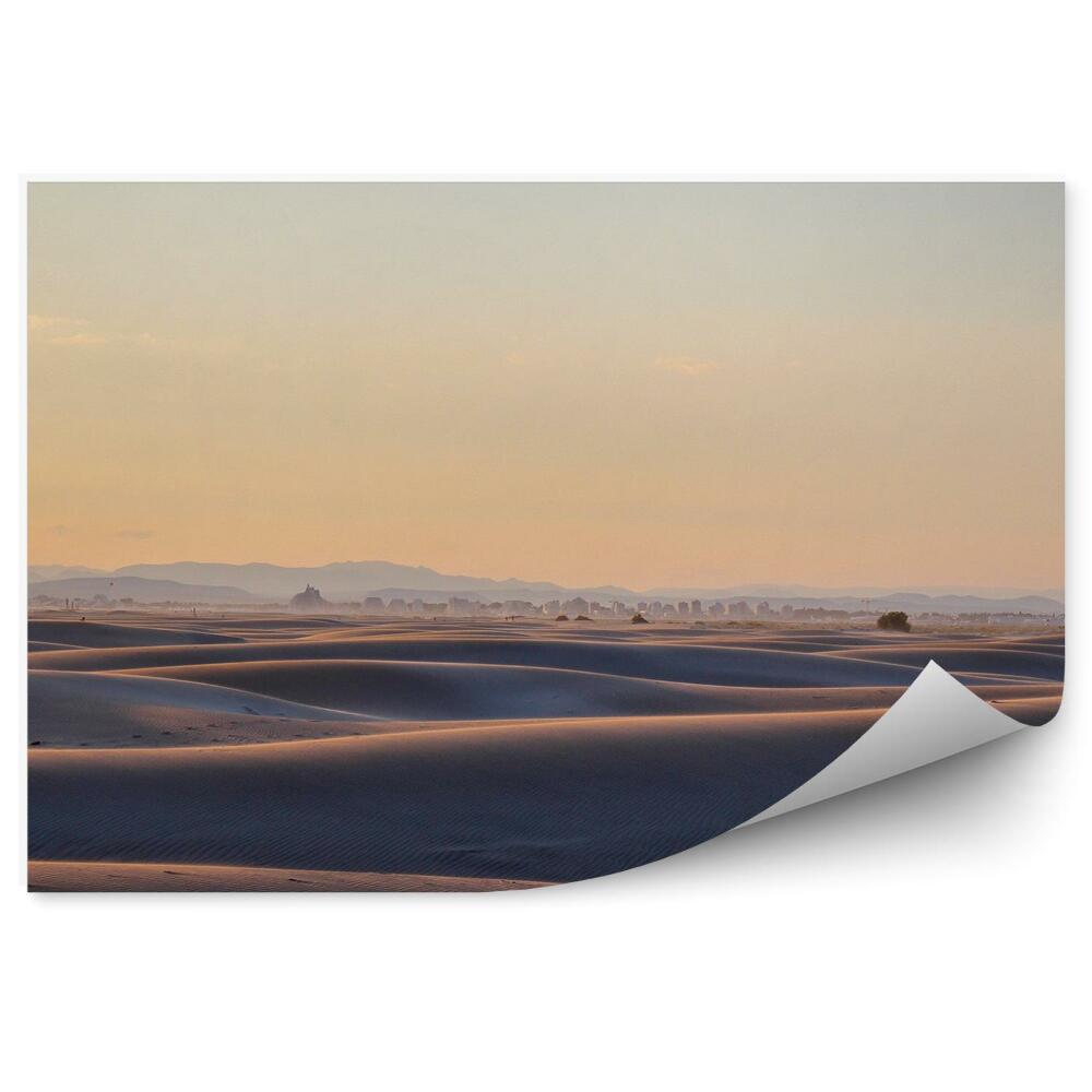 Samolepící fototapeta Oceánské duny pouštní rostliny budovy obloha