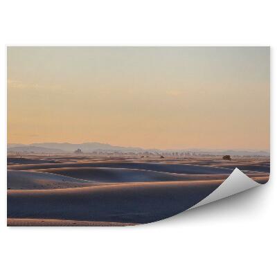 Samolepící fototapeta Oceánské duny pouštní rostliny budovy obloha