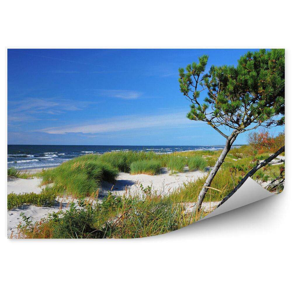 Fototapeta Strom tráva pláž Slunečné pobřeží moře černé nebe mraky