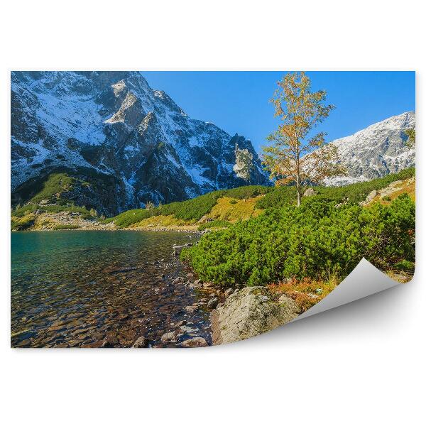 Fototapeta na zeď Zelená vodní plocha v Morskie Oko Tatry