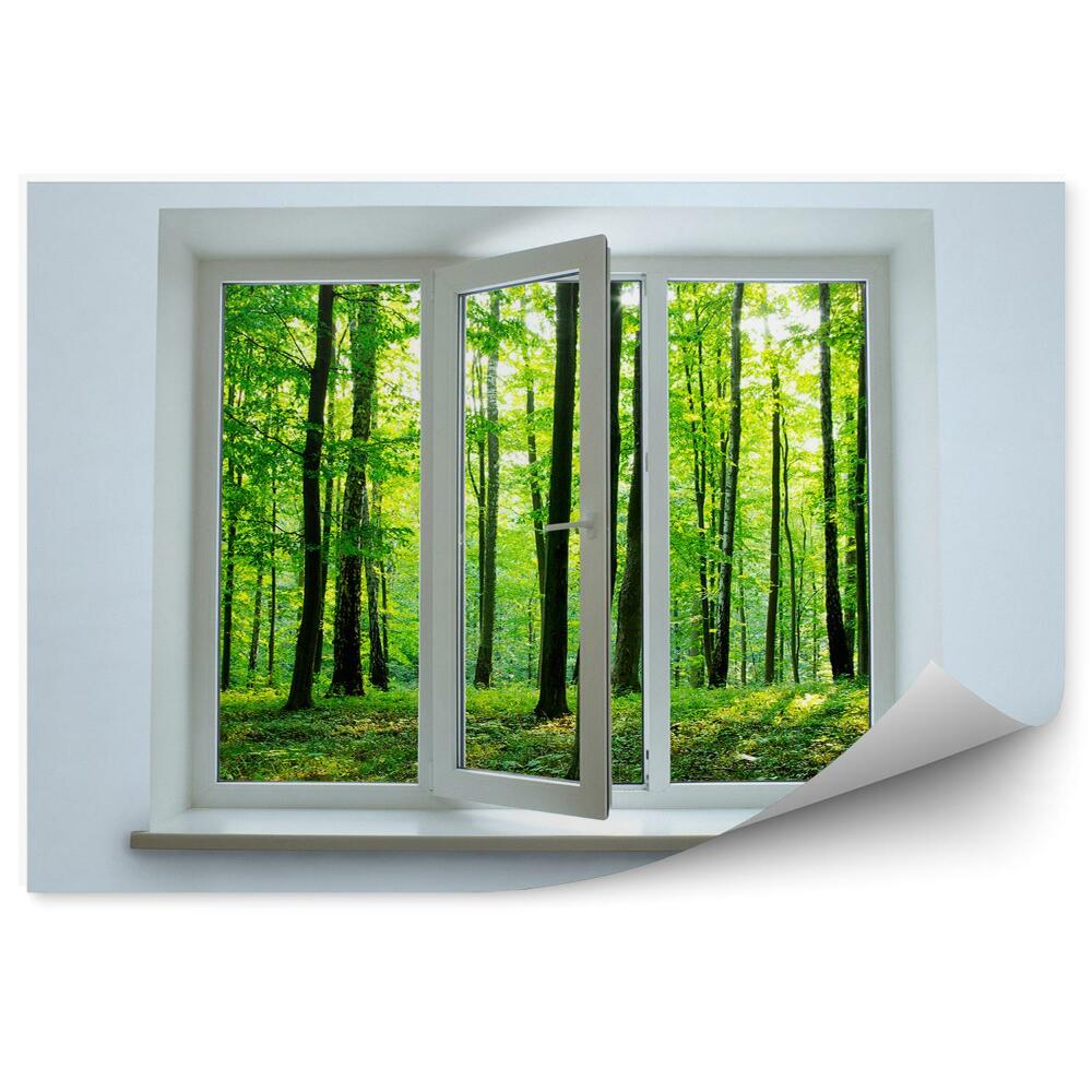 Fototapeta Letní pohled na zelený les skrz otevřené okno