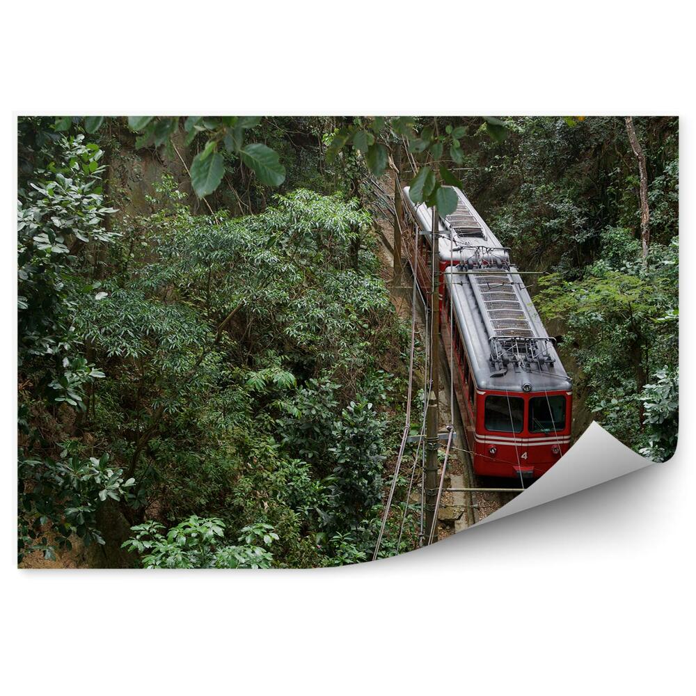 Fototapeta Červený brazilský vlak džungle příroda vegetace