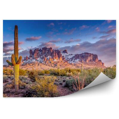 Samolepící fototapeta Krajina hor v Arizoně