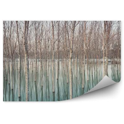 Samolepící fototapeta Břízy v zatopené vesnici přírodní vzor