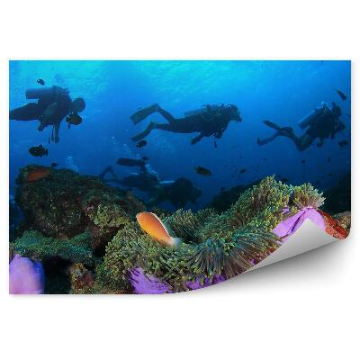 Fototapeta Potápěči hejna sasanek