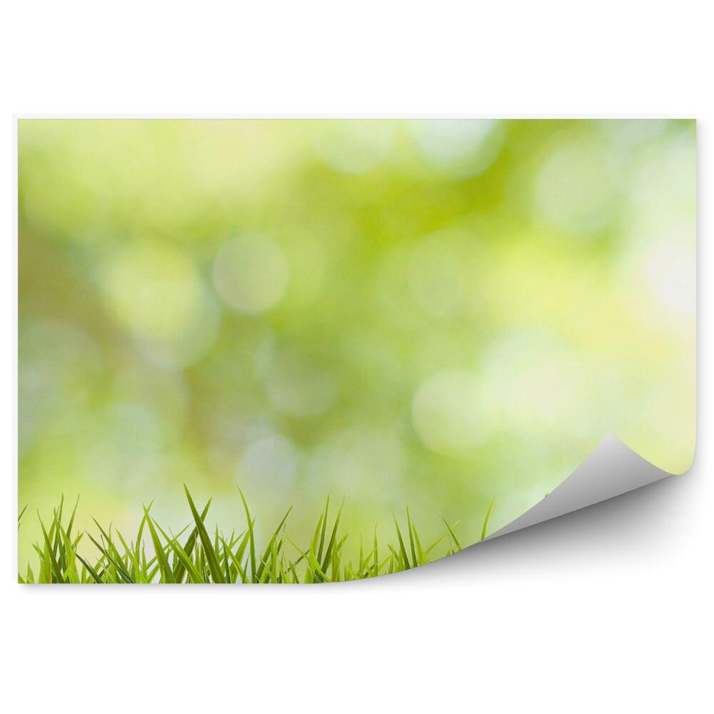 Fototapeta Zelená tráva pozadí grafické abstrakce léto