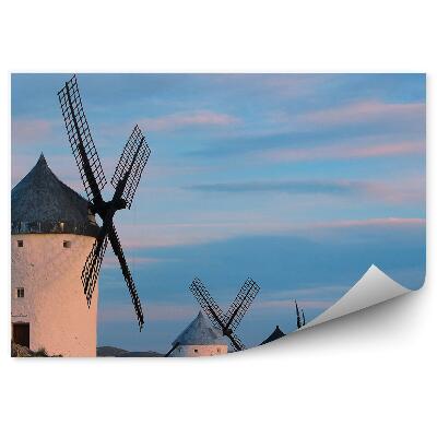 Fototapeta na zeď Pásmo větrných mlýnů příroda architektura