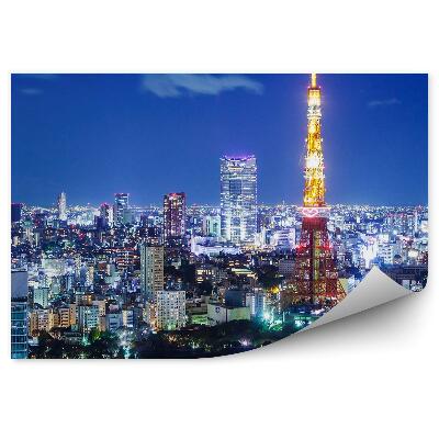 Fototapeta Panorama města noční Tokio světla
