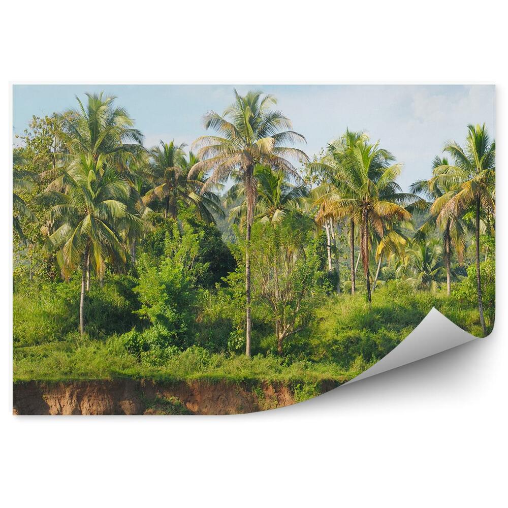 Fototapeta na zeď Tropický les a palmy na břehu řeky