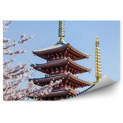 Fototapeta na zeď Asakusa Japonsko chrámy sakura kultura