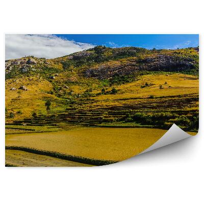 Fototapeta Kopce zelené rostliny skály