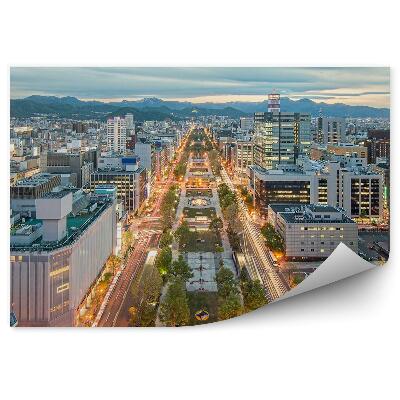 Samolepící fototapeta Sapporo Japonsko architektura budov