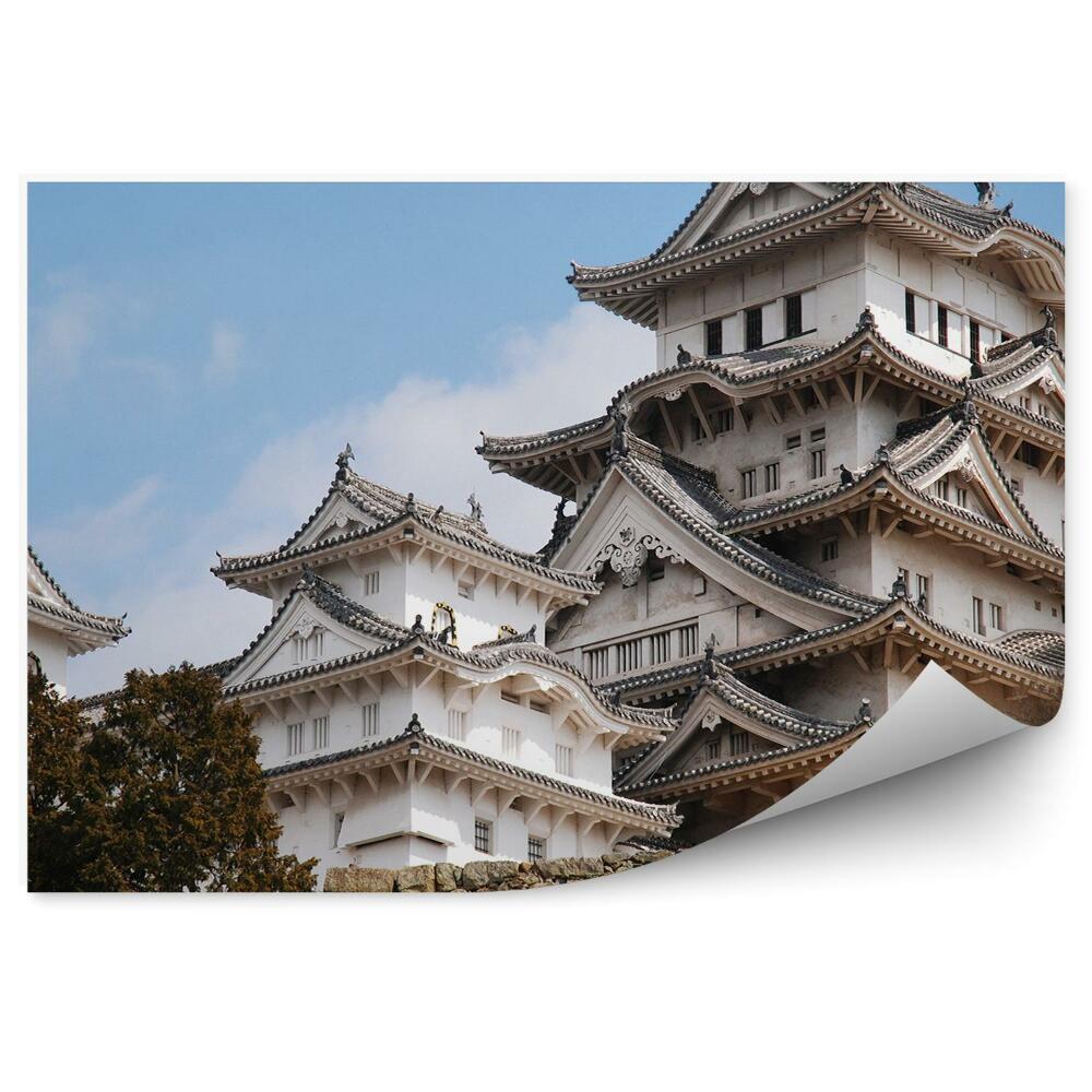Fototapeta Bílý hrad Japonsko příroda