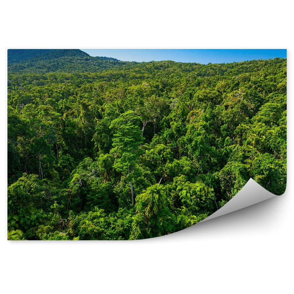 Fototapeta Tropický les mraky na obloze Amazonie