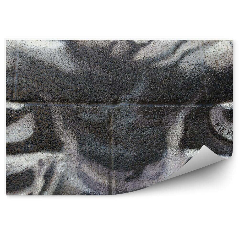 Samolepící fototapeta Opičí oči graffiti