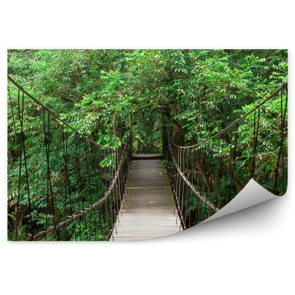 Fototapeta na zeď Visutý most v lese zelené dřevo
