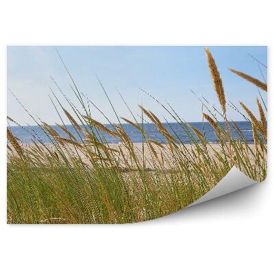 Samolepící fototapeta Zelená tráva na pozadí pláže modrého moře
