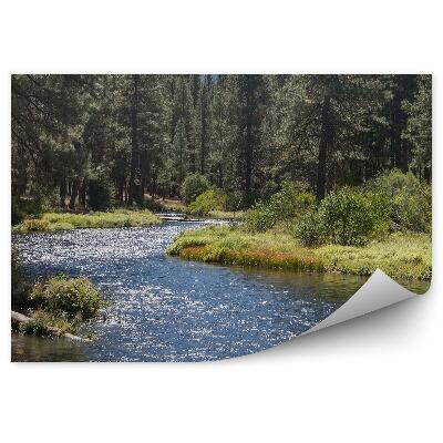 Fototapeta Řeka vánoční strom horské přírody