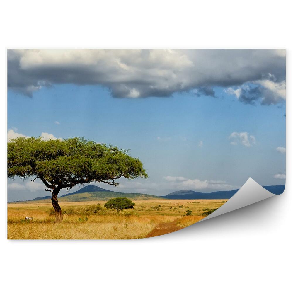 Fototapeta Antilopy tráva západ slunce savana