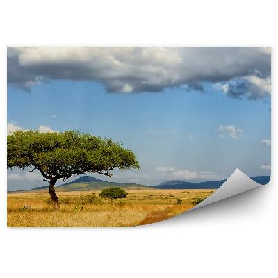 Fototapeta Antilopy tráva západ slunce savana