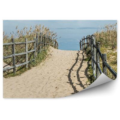 Samolepící fototapeta Starý poškozený most hory rostliny bahnitá řeka skály