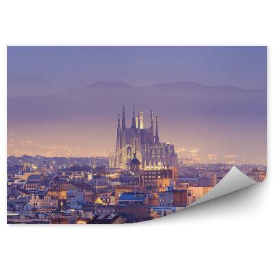 Fototapeta na zeď Barcelonské budovy katedrála noční pohled