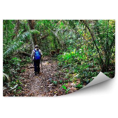 Fototapeta na zeď Cestovatelská turistika v džungli ponechává zelenou