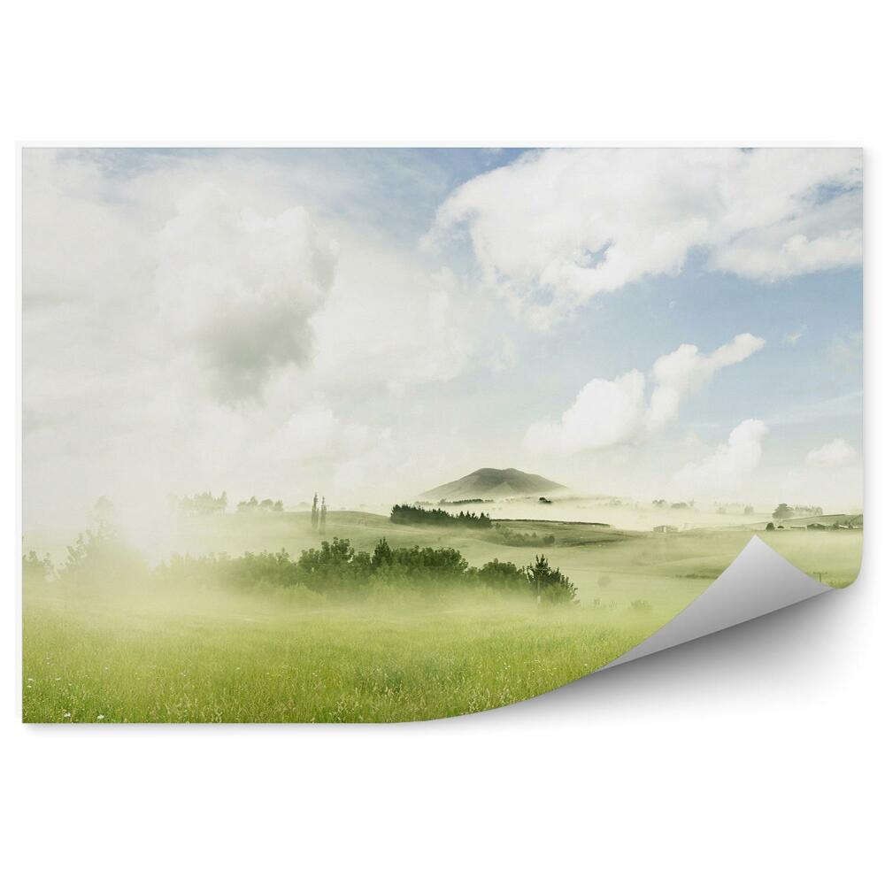 Samolepící fototapeta Zelená louka rostliny mlha obloha