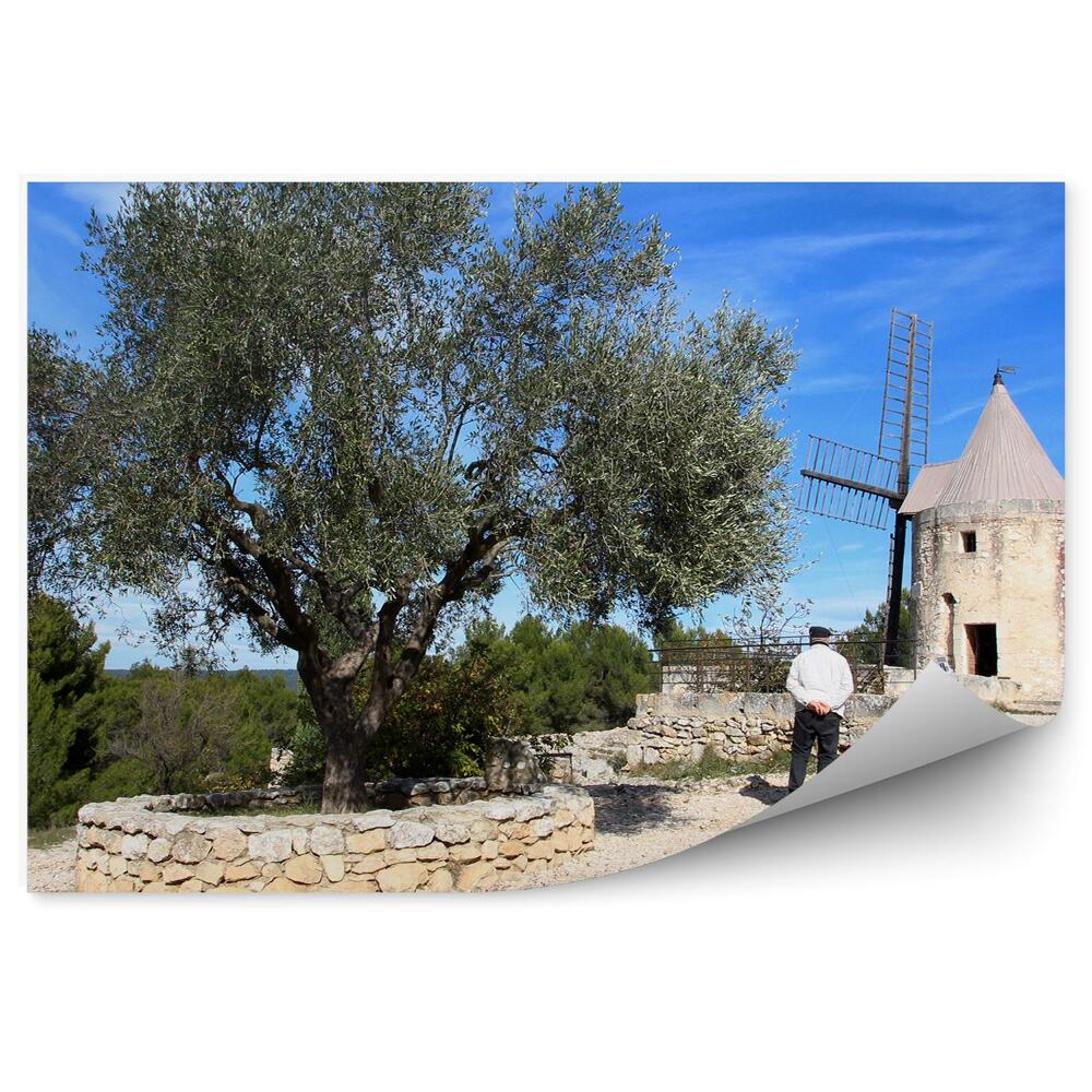 Fototapeta hory stromy zelené ovce Provence Francie