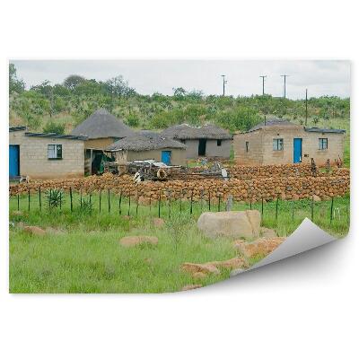 Tapeta Himba vesnice tradiční africké chýše kozy stromy