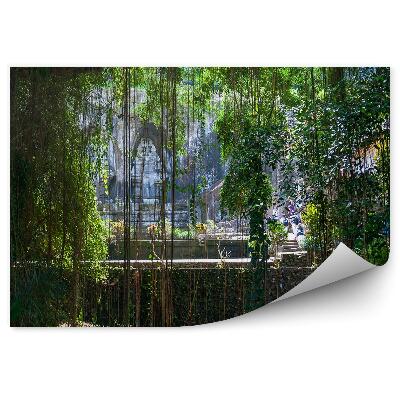 Fototapeta Chrám džungle stromů lián