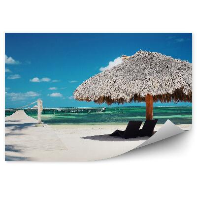 Samolepící fototapeta Cornwall Anglie hory skály barevné rostliny oceán nebe