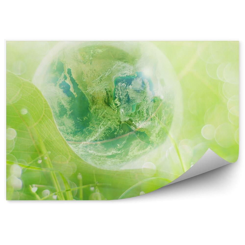 Fototapeta na zeď Země skleněná koule zelené listy