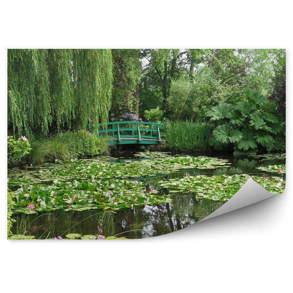 Fototapeta na zeď Zelená vegetace park most přes lekníny