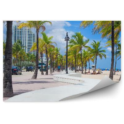 Fototapeta Skály obloha mraky tráva oceán pláž duny