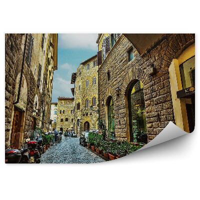 Samolepící fototapeta Staré kamenné budovy zelená vegetace