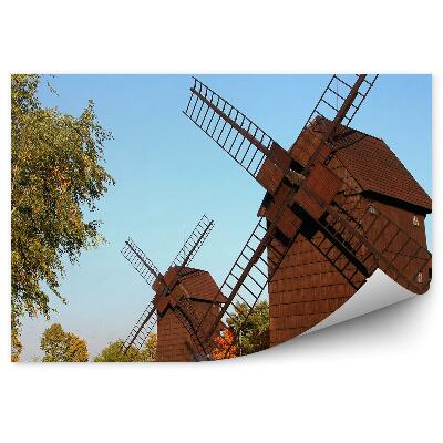 Fototapeta na zeď Staré dřevěné větrné mlýny přírodní park