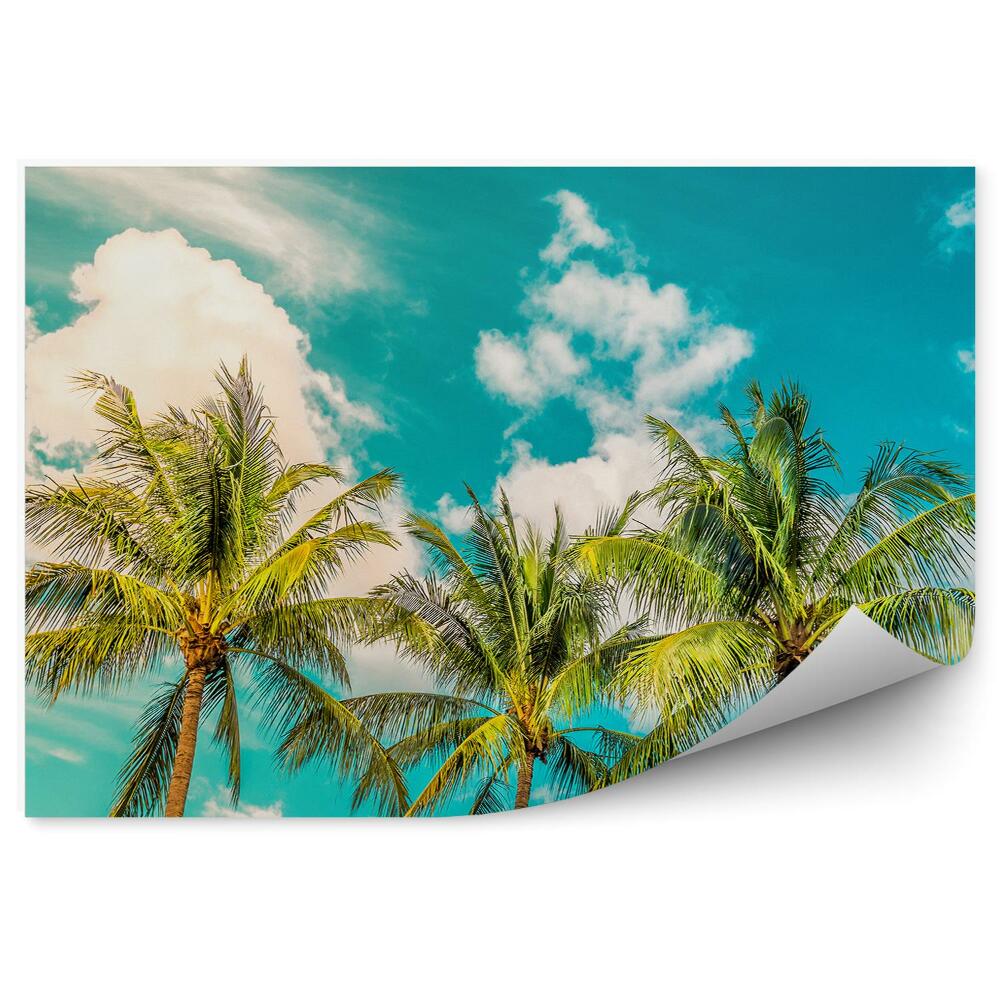 Fototapeta Tři palmy proti modré obloze