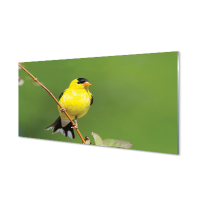 Obraz na skle Žlutý papoušek na větvi