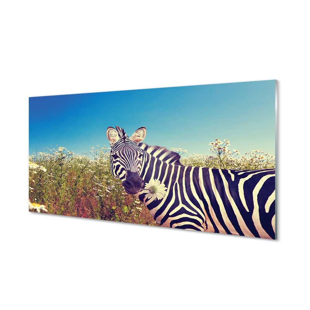 Luxusní skleněný obraz Zebra s květinou v tlamě