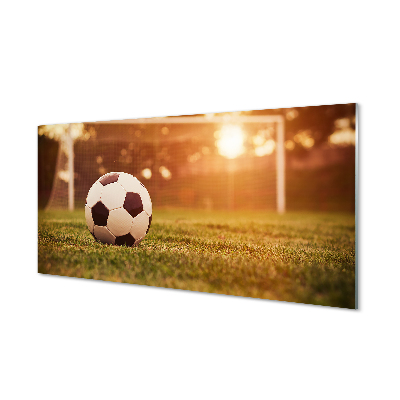 Skleněný obraz Fotbalový trávník v brance
