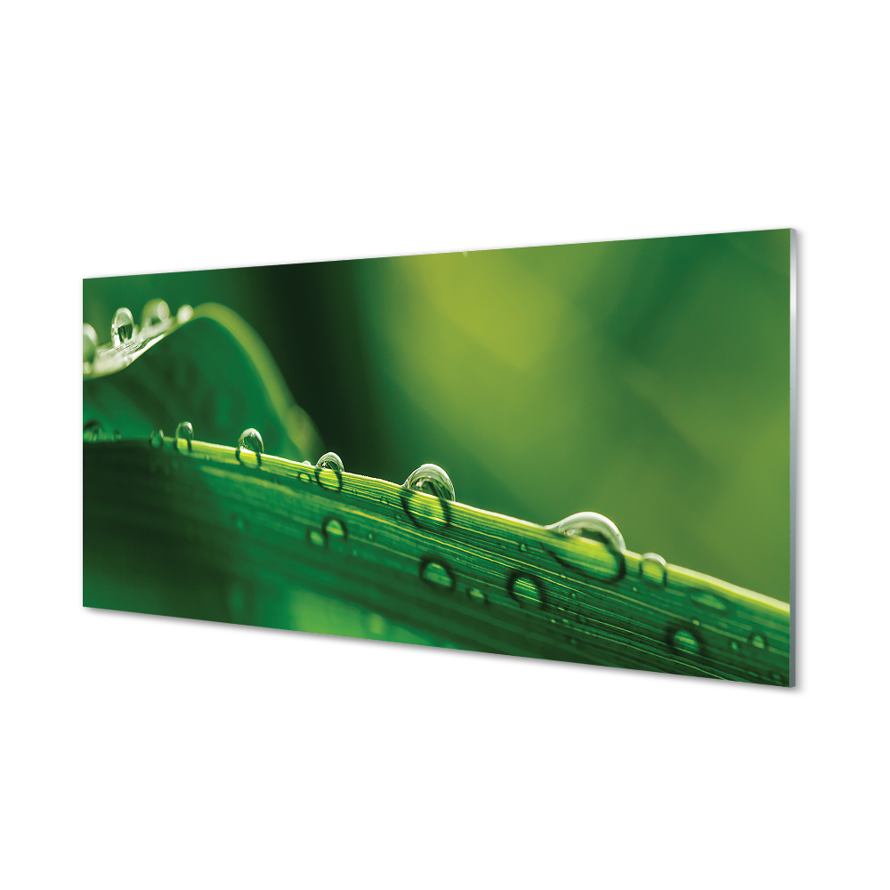 Obraz na skle Kapky trávy zblízka