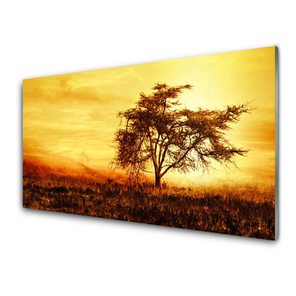 Skleněný obraz na stěnu Strom Příroda Západ slunce
