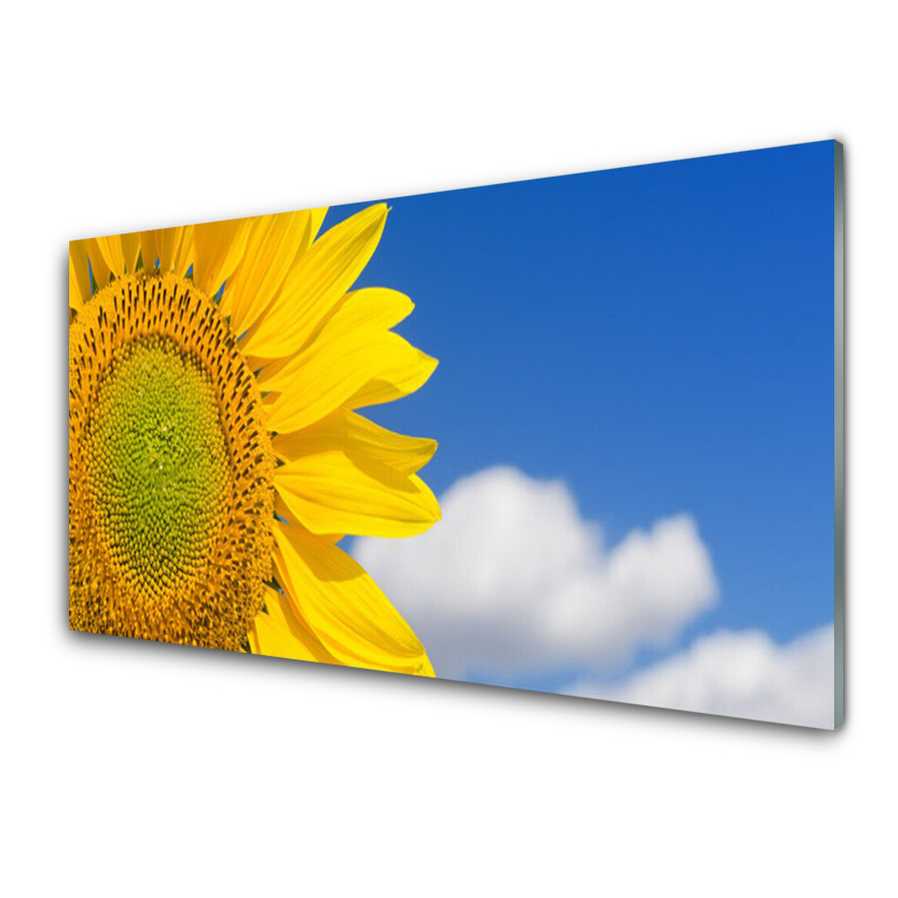 Luxusní skleněný obraz Slunečnice Obloha Mraky
