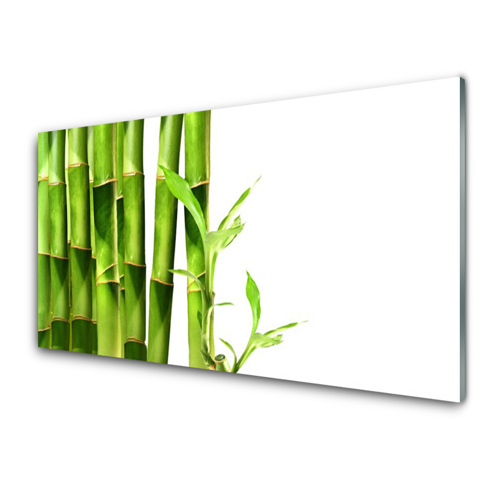 Skleněný obraz Bambusová rostlina